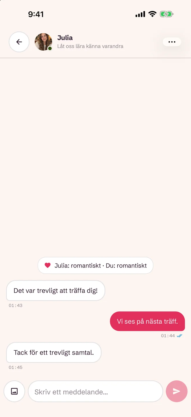 Chattskärm efter en matchning